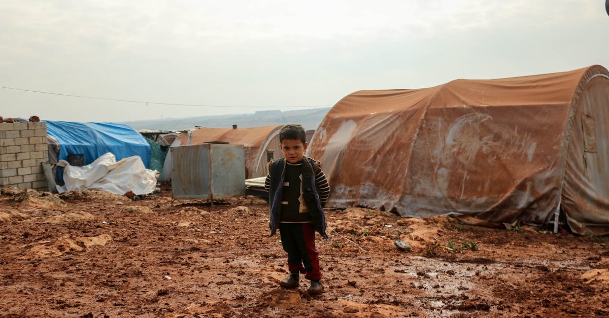 découvrez le rôle essentiel du gouverneur dans l'administration des états, son influence politique, et son impact sur la législation locale. plongez dans les responsabilités et les défis auxquels sont confrontés les gouverneurs au quotidien.